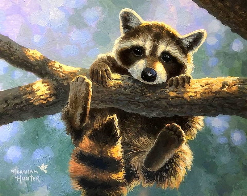 Hanging in There, love four seasons, spring, hanging, raccoon, tree,  paintings, HD wallpaper | Peakpx