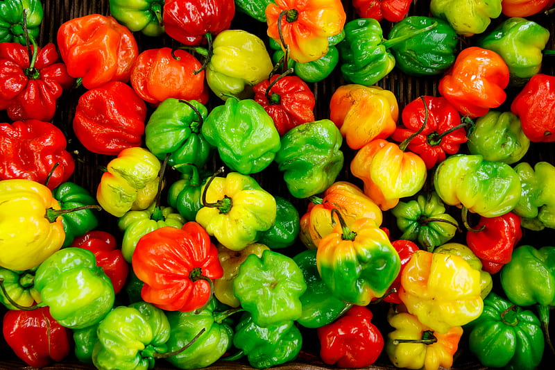 bunch of bell peppers, HD wallpaper