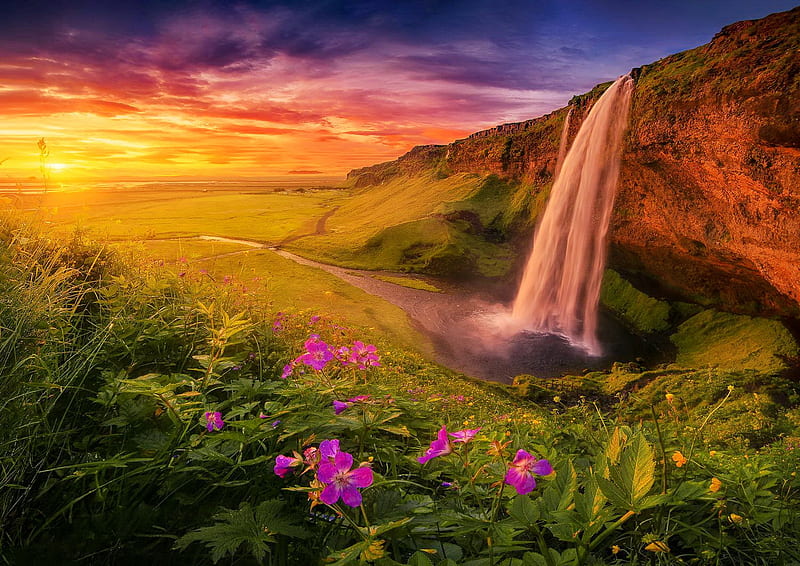 Waterfall at sunset, Iceland, sea, rocks, grass, fiery, sunset, bonito, sky, cave, sundown, seashore, stone, wildflowers, waterfall, HD wallpaper