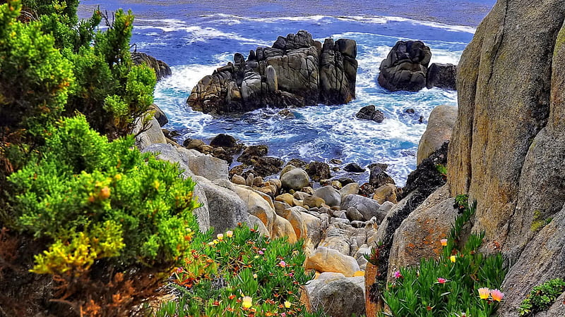beautiful coastal rocks, rocks, plants, cliff, coast, sea, HD wallpaper