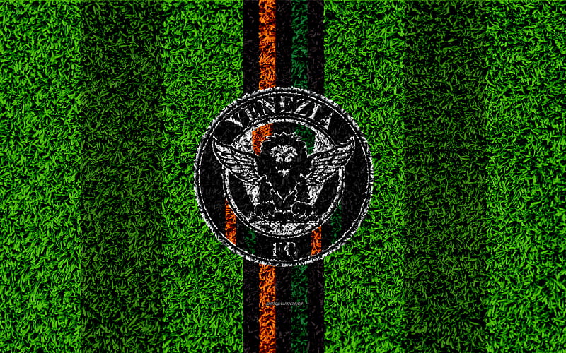Venezia FC football lawn, Italian football club, logo, black lines, grass texture, Serie B, Venice, Italy, football, HD wallpaper