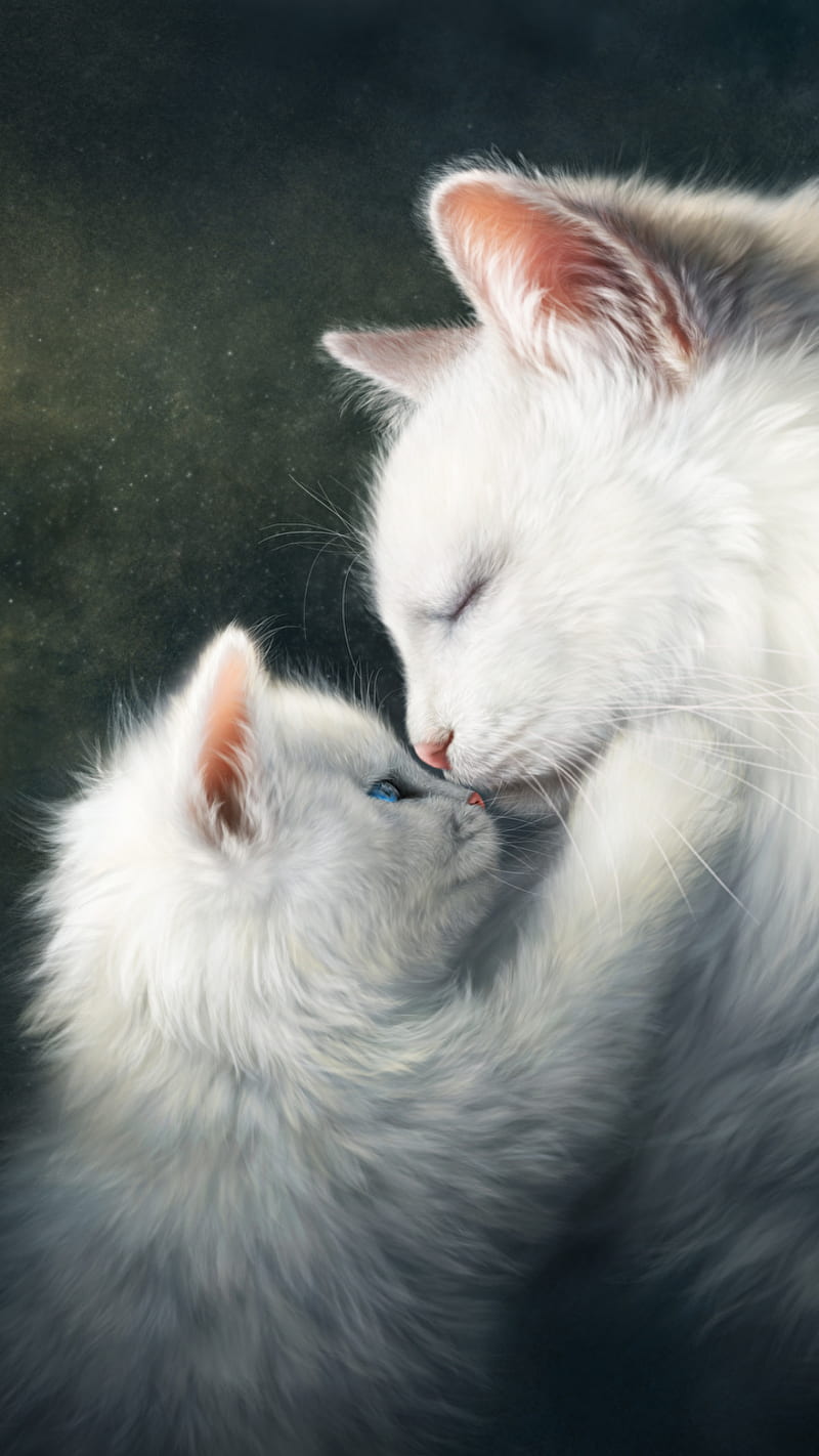 Gatos blancos, lindo, Fondo de pantalla de teléfono HD | Peakpx