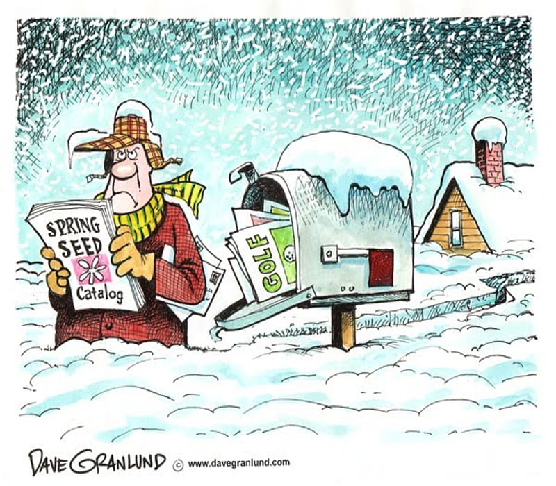Funny, Cartoon, Man, Mailbox, Snow, House, Hat, HD wallpaper | Peakpx