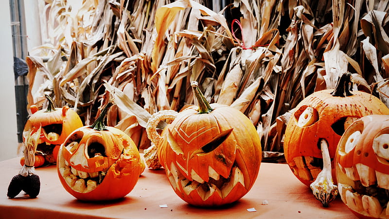 Pumpkins Faces Artwork Happy Halloween, HD wallpaper