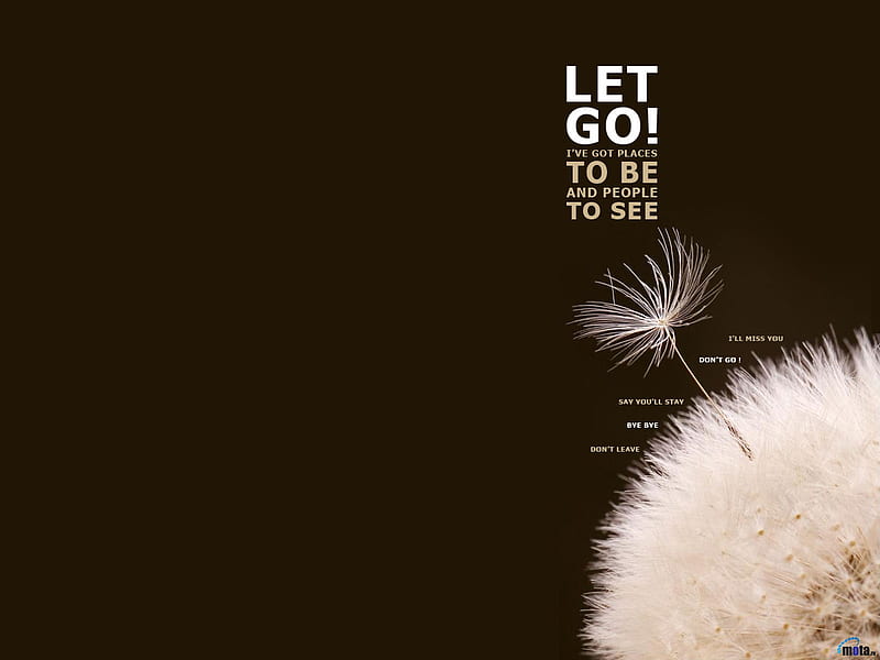 Download Let Go By Liudy Wallpaper  Wallpaperscom