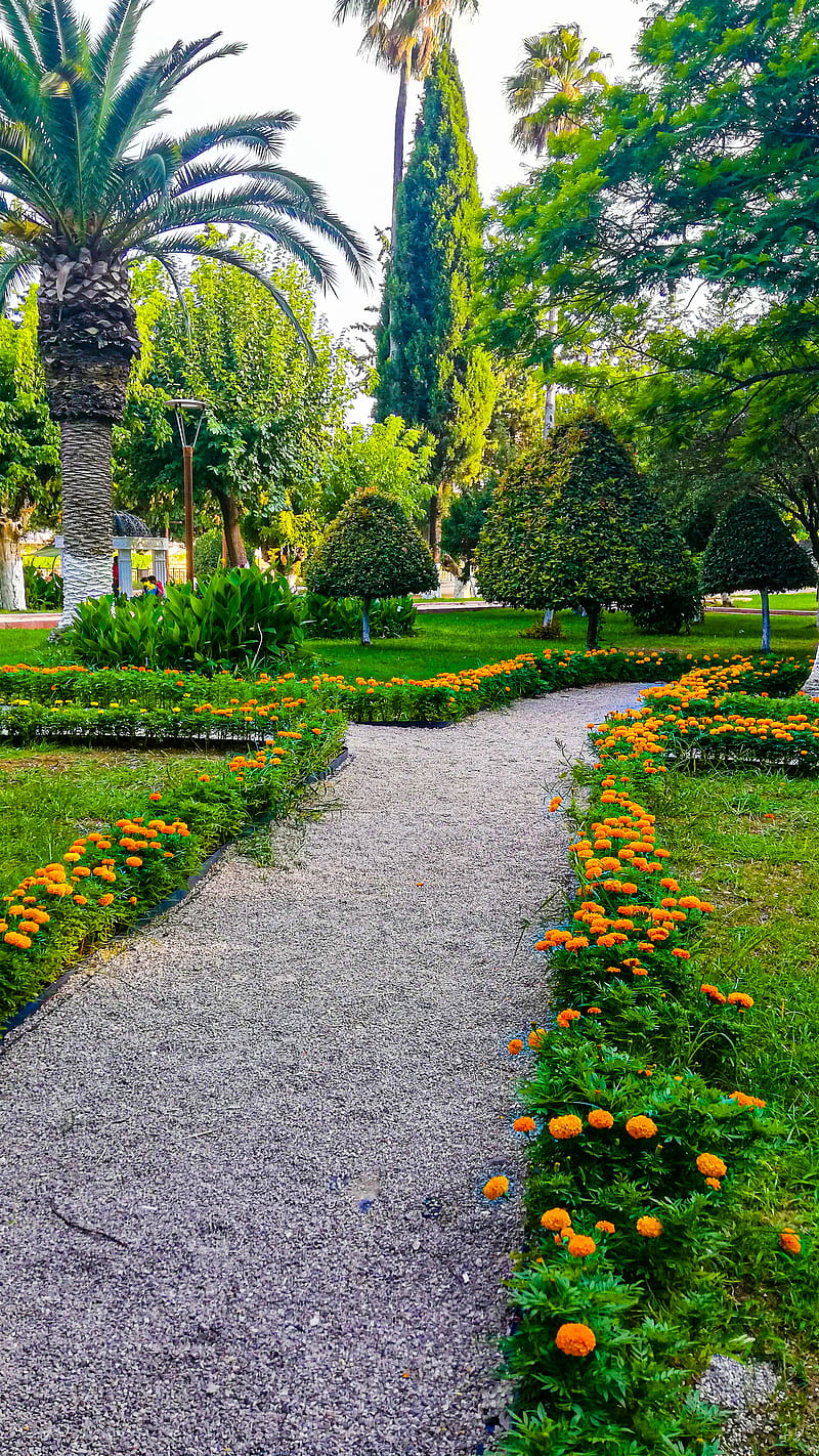 flower path, HI, Istanbul, Turkey, air, appearance, art, artist, bonito, bright, buildings, decor, flag, gorges, hills, house, houses, lakes, landscapes, legend, letter, light, love, mountains, print, rivers, sea, seas, ship, ships, spectacular, sun, trees, water, writing, HD phone wallpaper