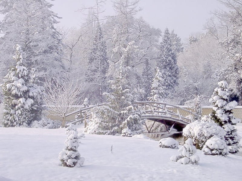 Winter view, bridge, garden, arboretum, park, winter, HD wallpaper