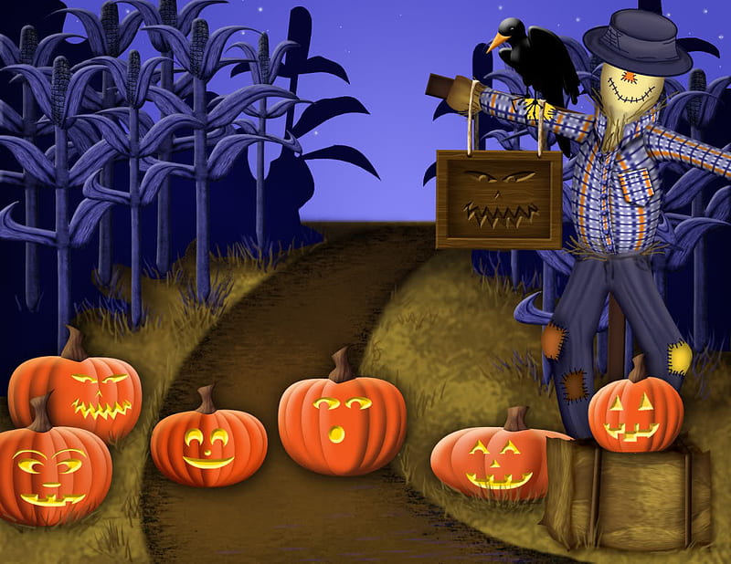 scarecrow in the corn field screensaver, cornfield, screen, saver, pumpkins, HD wallpaper