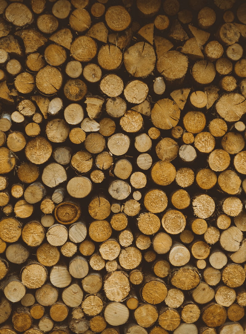 logs, wooden, wood, cut, HD phone wallpaper