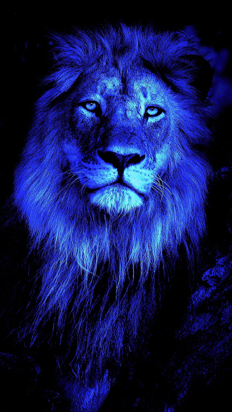 Лев неоновый синий