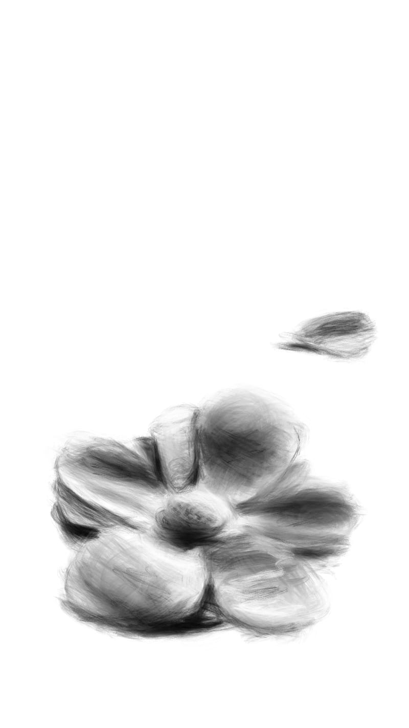 Dibujo de flores, gris, lápiz, pintar, sencillo, sombra, Fondo de pantalla  de teléfono HD | Peakpx