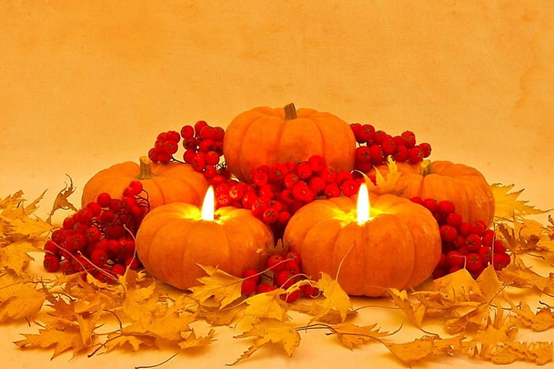 Pumpkin Pie, fall, autumn, Pumpkin, halloween, Pie, light, HD wallpaper