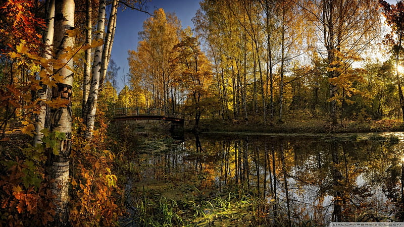great autumn riverscape, river, leaves, trees, footbridge, HD wallpaper