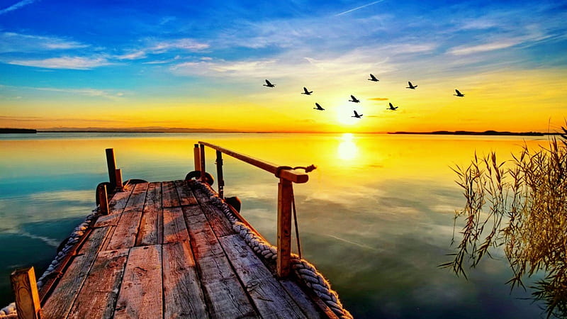 Lake sunrise, amazing, sun, pier, birds, bonito, sunset, sky, lake, tranquil, dock, serenity, river, sunrise, reflection, HD wallpaper