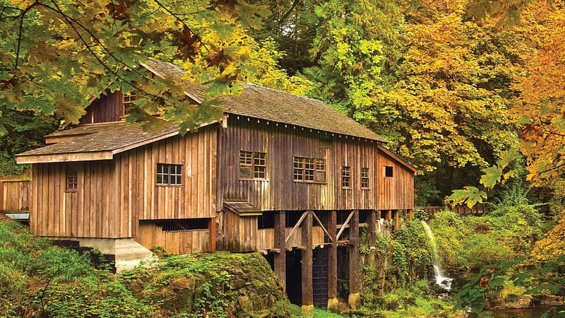 cedar creek grist mill in washington, forest, autumn, creek, mill, HD wallpaper