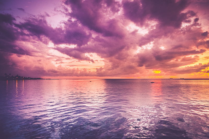 Beautiful Purple Sea And Pink Horizon Sunrise, sea, horizon, sunrise, nature, purple, sea, HD wallpaper