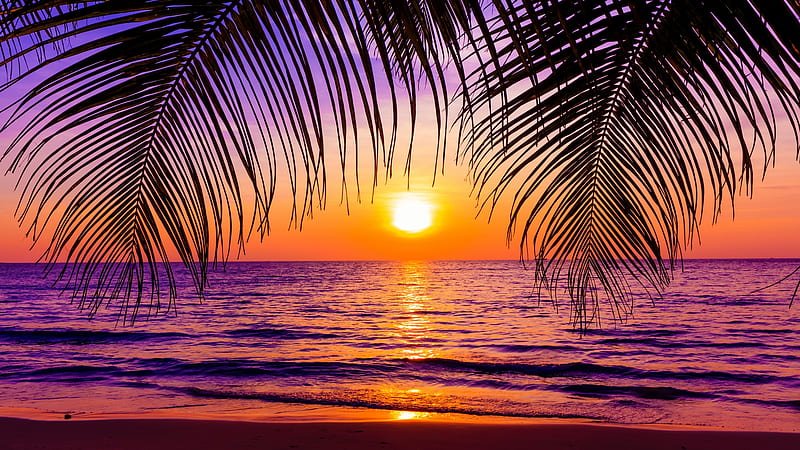 Tropical sunset, exotic, ocean, summer, bonito, sunset, tropics, sea ...