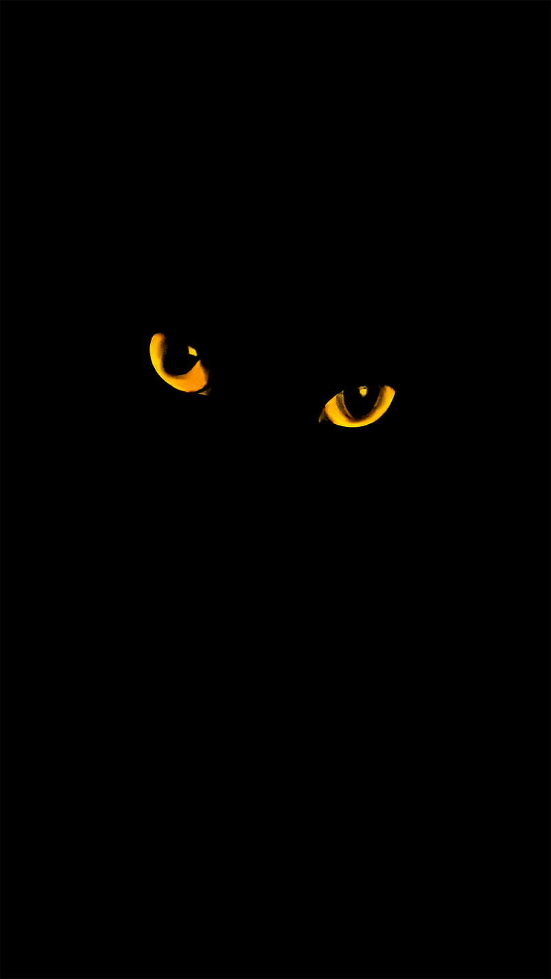 Cat, #dark # #cat #blackcat #cateyes, ericreationzs, HD phone wallpaper
