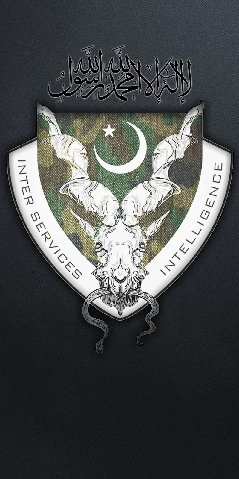 ISI Agency, isi army, isi logo, isi pakistan, isi , markhor, pak army isi, pakistani, ssg isi, HD phone wallpaper