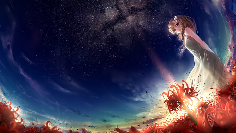 anime girl, anime landscape, white dress, sky, sunset, scenic, HD wallpaper