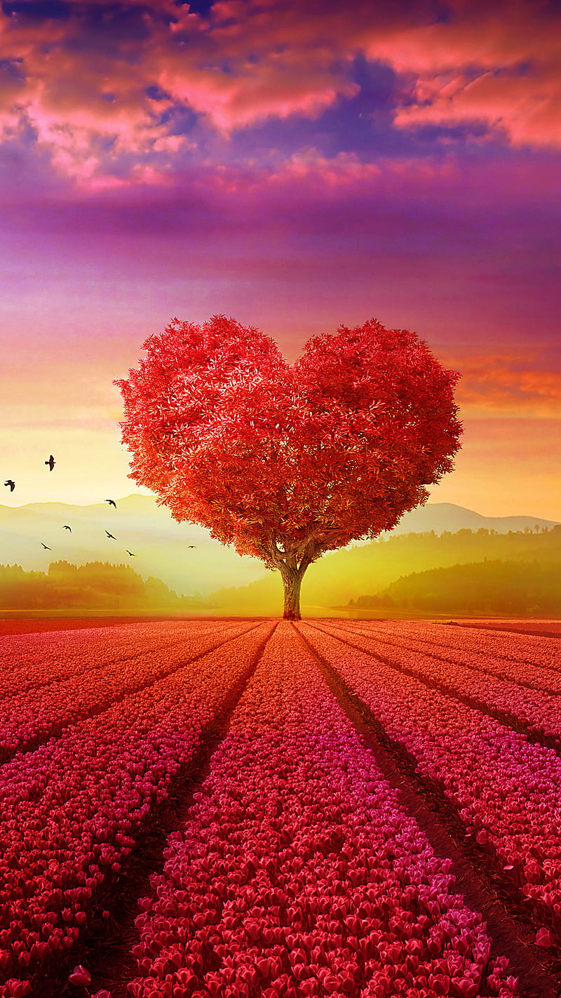 Heart tree , field, colorful, nature, HD phone wallpaper