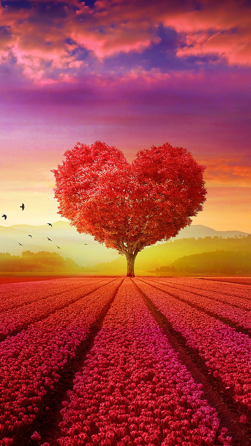 Corazón árbol, campo, colorido, naturaleza, Fondo de pantalla de teléfono  HD | Peakpx