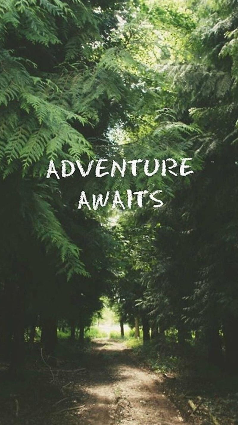 Adventure Awaits, bible, heart, quote, quotes, HD phone wallpaper