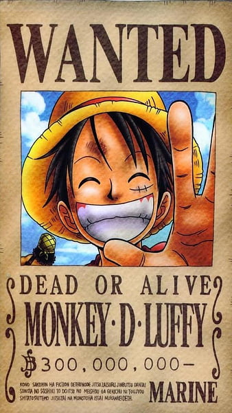 One piece wanted posters HD wallpapers  Pxfuel