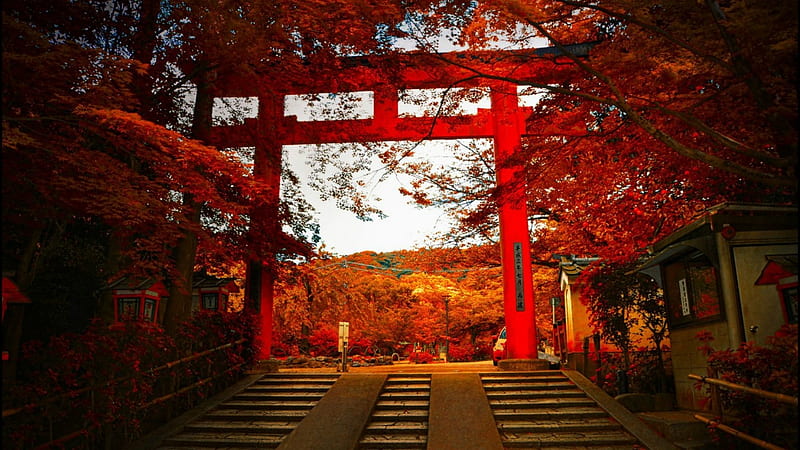 Japanese Temple, gate, red, autumn, japan, japanese, shrine, temple, HD wallpaper