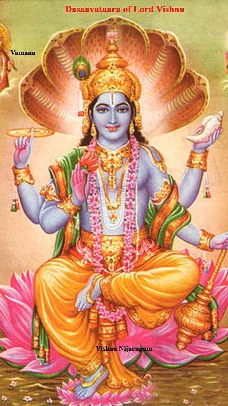 Lord Vishnu Sitting On Lotus, lord vishnu, sitting, lotus, god of preservation, lord narayana, HD phone wallpaper