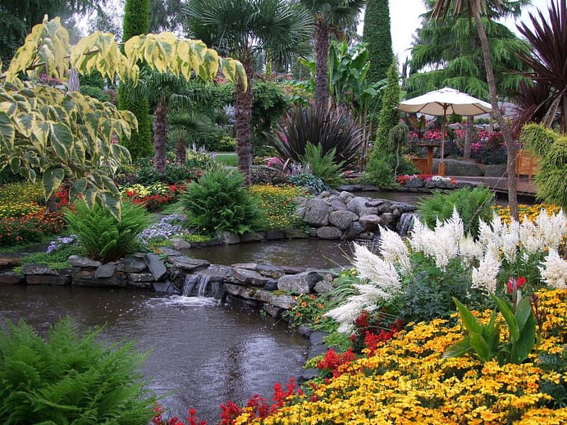 Exotic Flowers Garden, art , flowers garden, bonito, exotic park, palms, stones, water, flowers, fullcolours, HD wallpaper