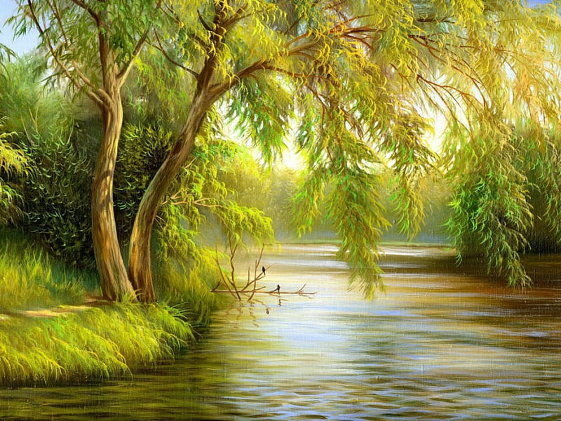 swamp tree drawing