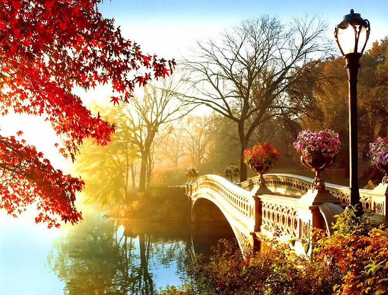 Autumn bridge, falling, foliage, nice, flowers, beauty, season ...