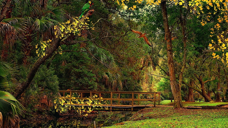 Enchanted Paradise, Pond, Park, Bridge, Birds, HD wallpaper