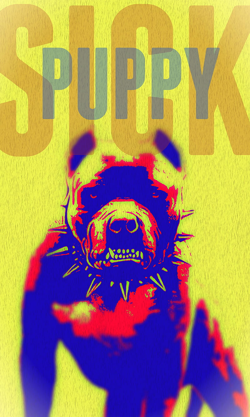 Sick puppy, dog, pit bull, HD phone wallpaper
