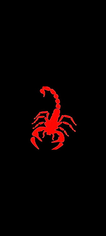 Black Scorpion Silhouette | Tribal Scorpio Zodiac Sign