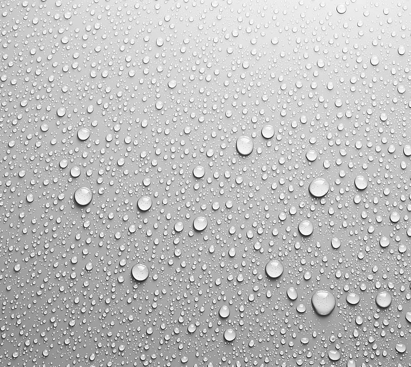 WhiteDrops, drops, water, white, HD wallpaper