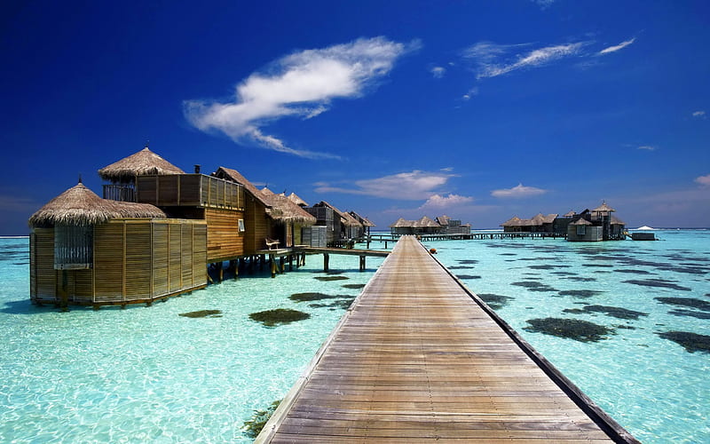 Maldives, tropical island, Lankanfushi Island, bungalow, ocean, summer, vacation, Gili Lankanfushi, HD wallpaper