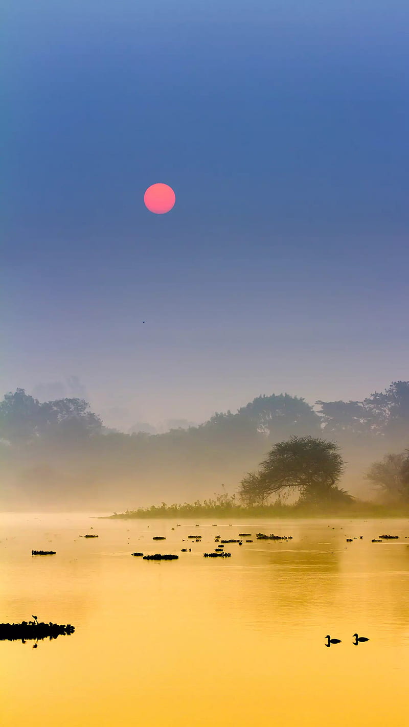 Misty Morning-BD, animal, anime, bangladesh, beautiful best, beautiful  city, HD phone wallpaper | Peakpx