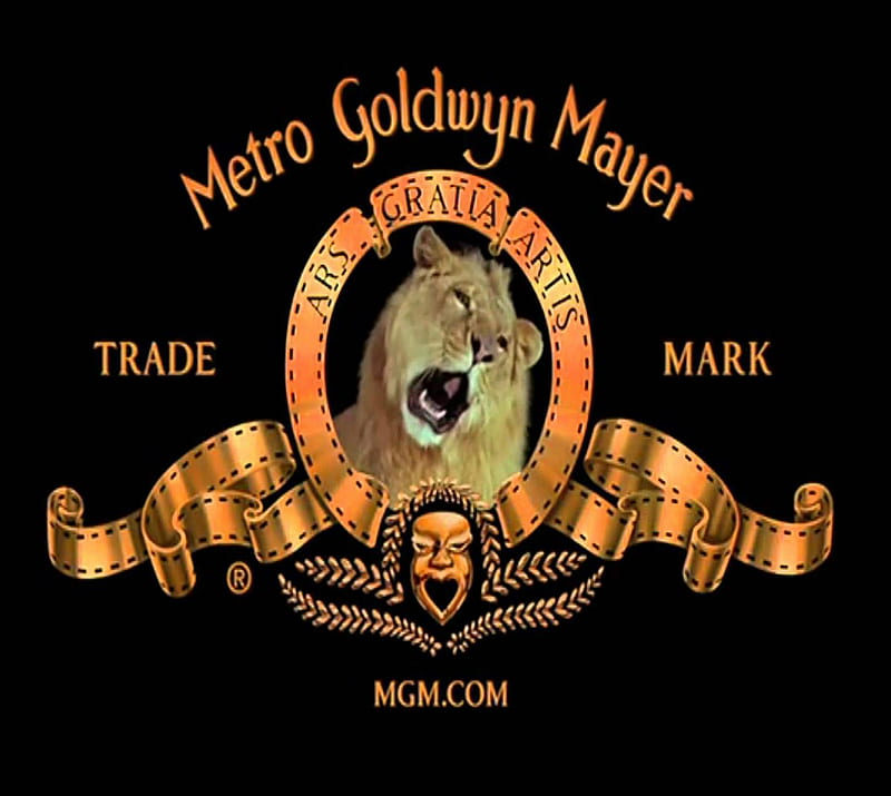 MGM, metro goldwyn mayer, HD wallpaper