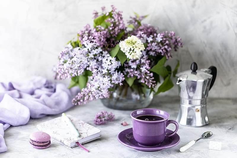 Food, Coffee, Cup, Drink, Flower, Still Life, HD wallpaper
