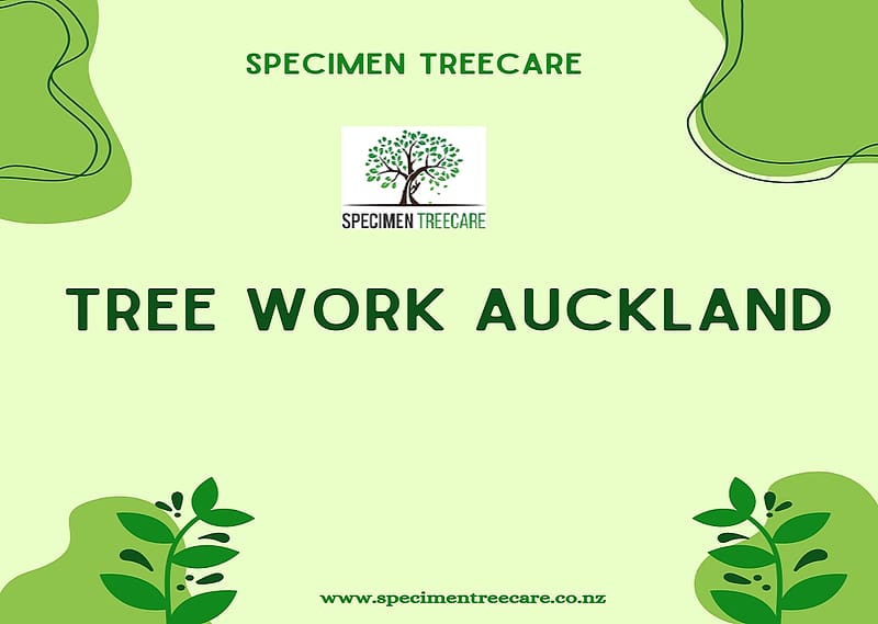Your Guide to Professional Tree Work Services in Auckland, Tree surgeon auckland, Arborist auckland, Tree removal auckland, Tree pruning auckland, HD wallpaper