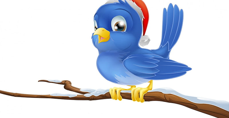 Bird sitting on a snow covered branch, christmas hat, christmas, bird, blue, HD wallpaper