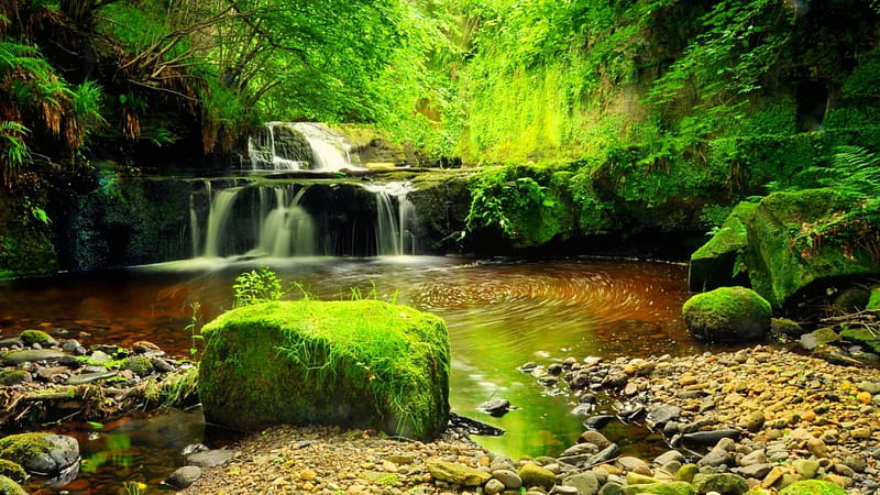 720P free download | Waterfall in green forest, forest, rocks, lovely ...