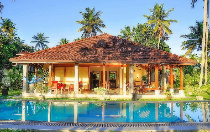 House with Pool, architecture, cozy, houses, swimming pool, coconut trees, love four seasons, home, attractions in dreams, living, exterior, beautiful houses, HD wallpaper