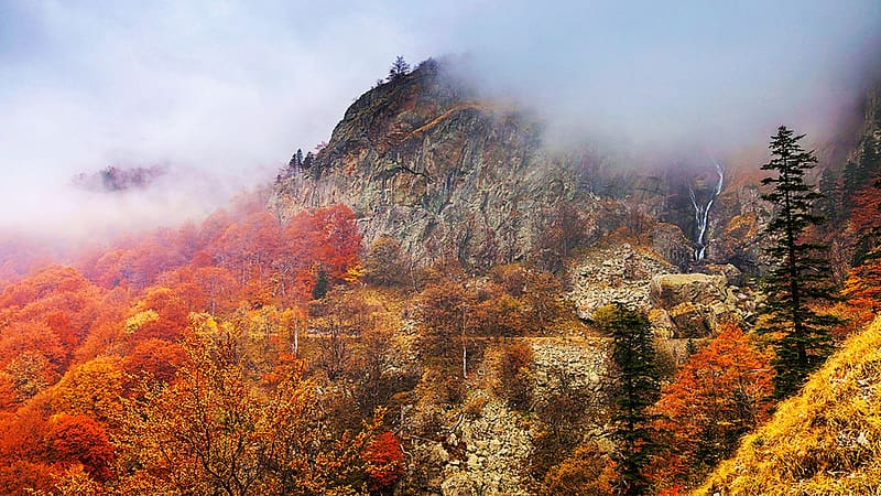 Misty Autumn Mountain, Balkan Mountains, Bulgaria, mist, fall, colors, trees, landscape, rocks, mountain, stones, HD wallpaper