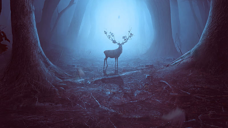 Into The Woods Reindeer , reindeer, woods, forest, artist, artwork, digital-art, HD wallpaper