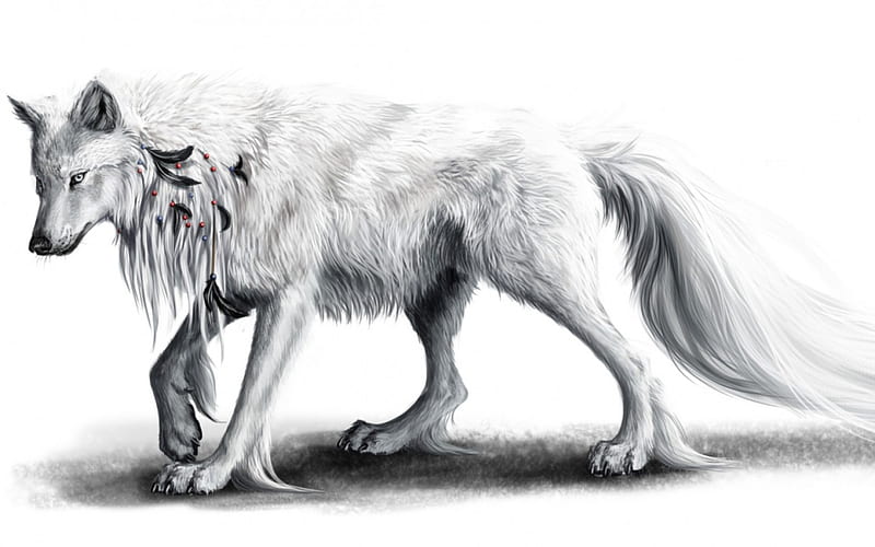 The wolf, draw, art, fantasy, feather, black, wolf, white, HD wallpaper