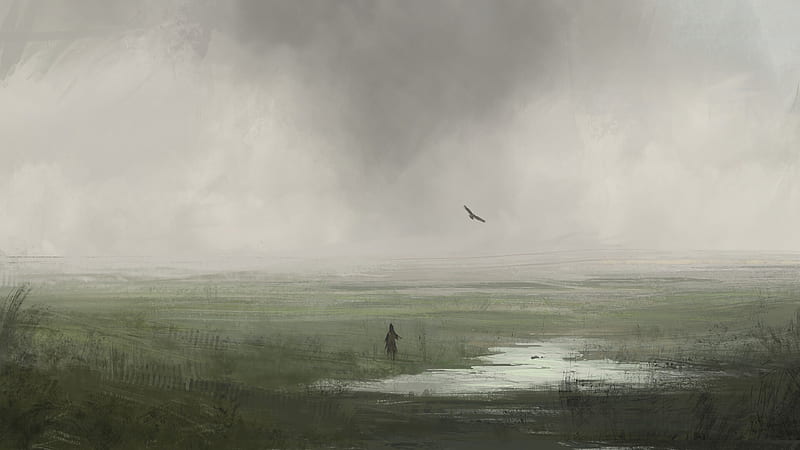 silhouette, loneliness, alone, bird, grass, art, HD wallpaper