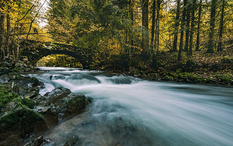 mountain river, stone bridge, forest, autumn, evening, sunset, river, HD wallpaper